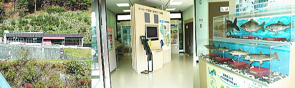 �c���_�����̂����
